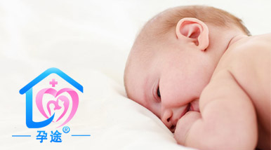 供卵试管婴儿过程中的降调和6次排卵方案是什么？