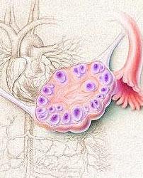 多囊卵巢综合症做供卵公立代怀试管应该注意什么？