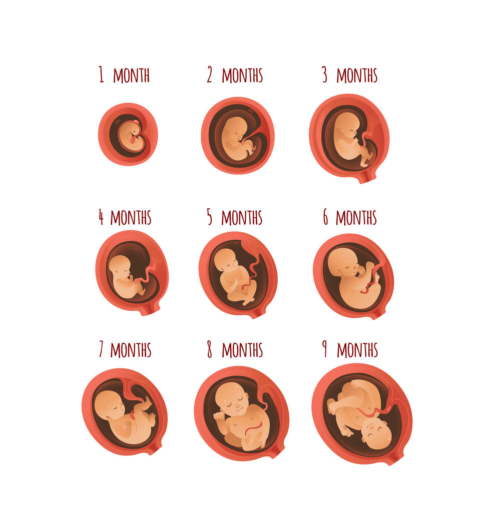 湖南长沙做靠谱供卵试管代生孩子选男孩的胚胎p23和p5筛查到底哪一个更好