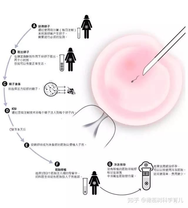 女性卵巢功能amh0.01可以作为试管获取健康卵泡吗