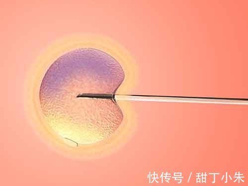 女性卵巢功能amh0.01可以作为试管获取健康卵泡吗
