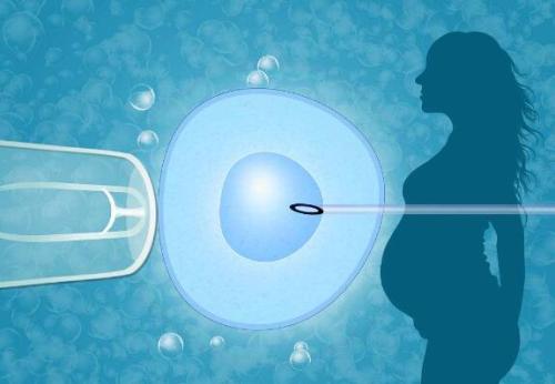 正规代怀中心周期流程图!国内代生孩子中介为什么会出现空卵泡